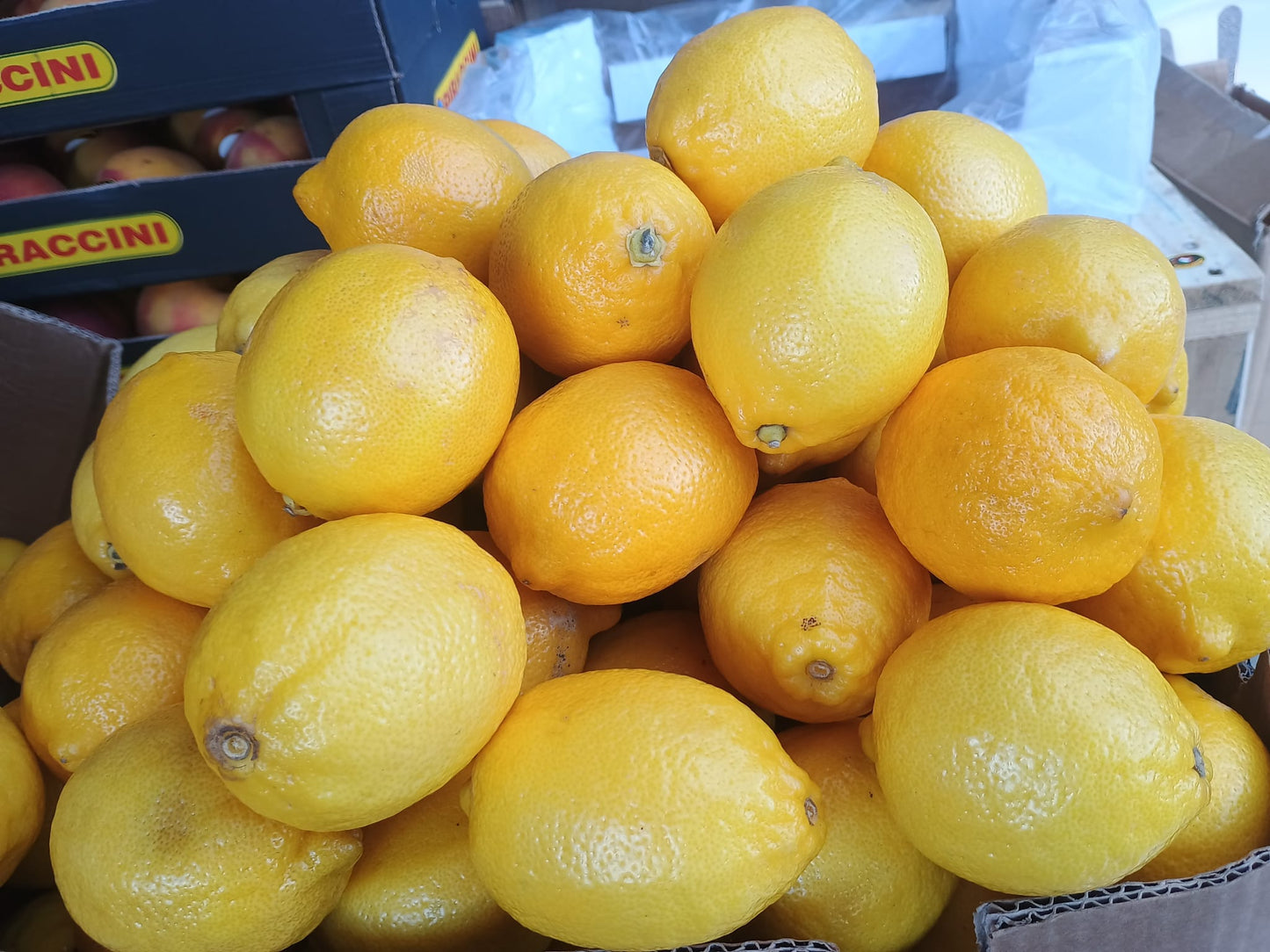 Limoni di Ribera Azienda Agricola Cusumano